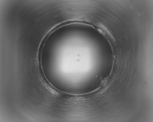 X0000073990884200609060955