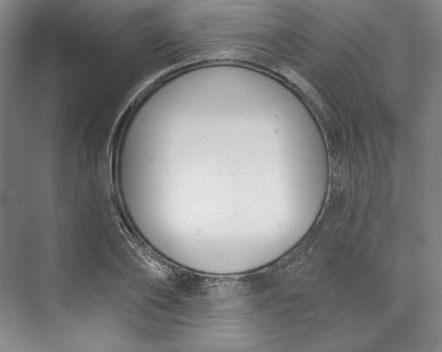 X0000073990886200609060955