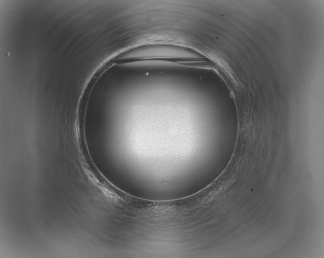 X0000073990888200609060955