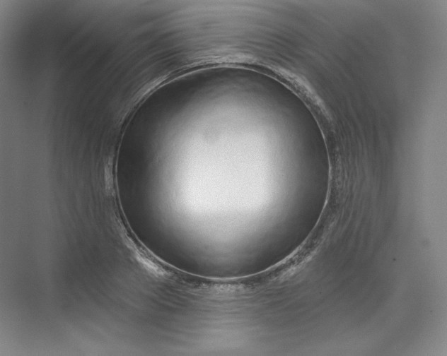 X0000073990889200609060955