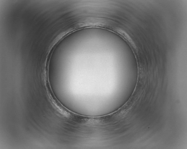 X0000073990890200609060955