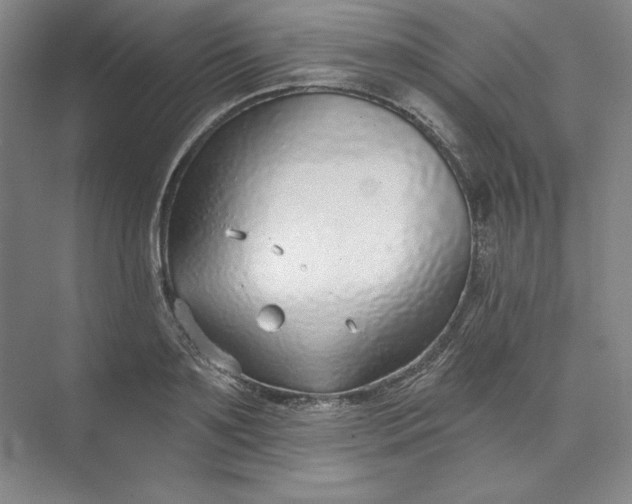 X0000073990891200609060955