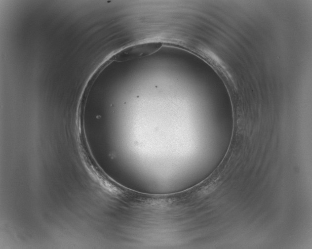 X0000073990892200609060955