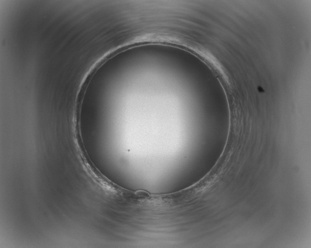 X0000073990896200609060954