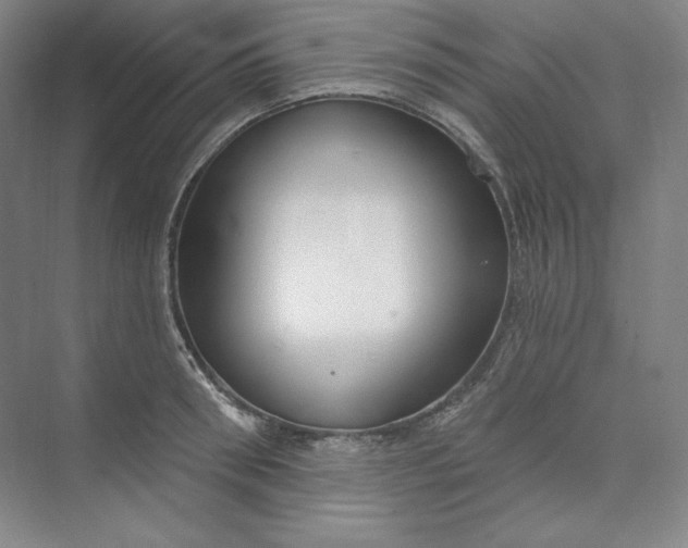 X0000073990898200609060954