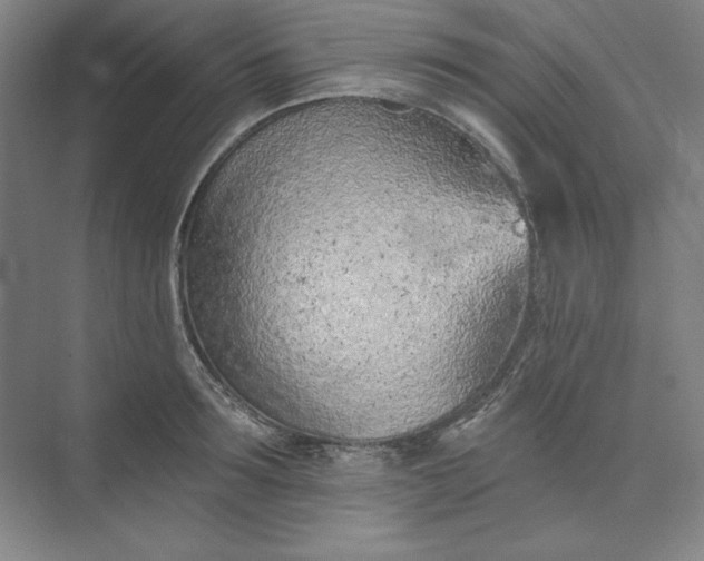 X0000073990899200609060954