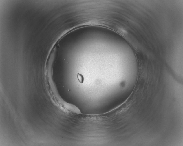 X0000073990900200609060954