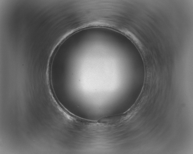 X0000073990902200609060954