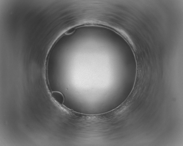 X0000073990903200609060954