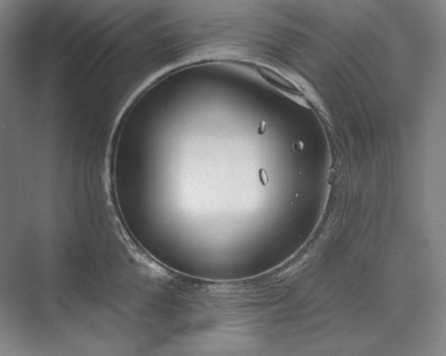 X0000073990904200609060954