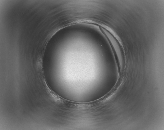 X0000073990905200609060954