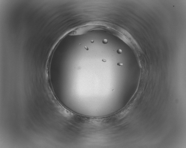 X0000073990908200609060954