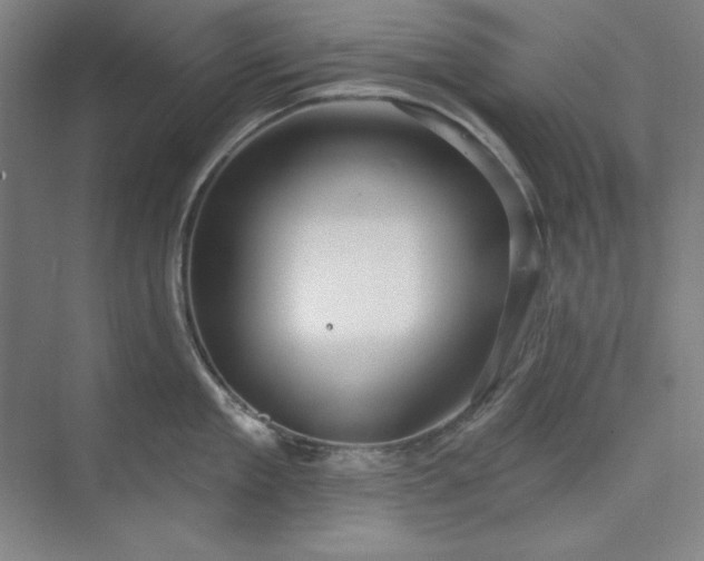 X0000073990909200609060954