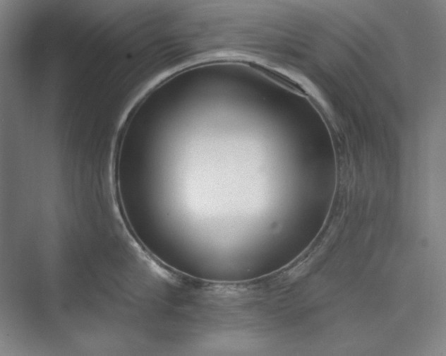 X0000073990910200609060954