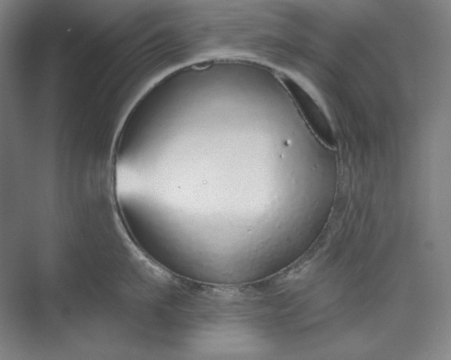 X0000073990911200609060954