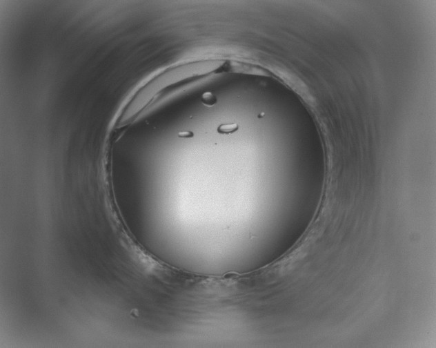 X0000073990912200609060954