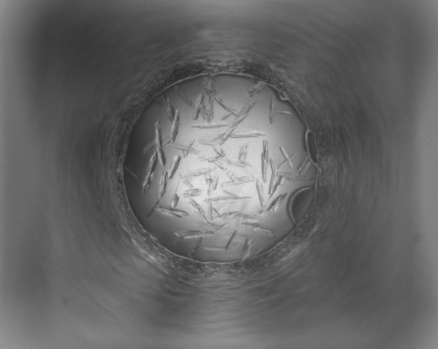 X0000073990913200609060953