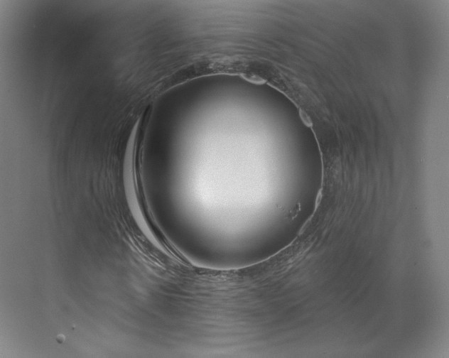 X0000073990914200609060953