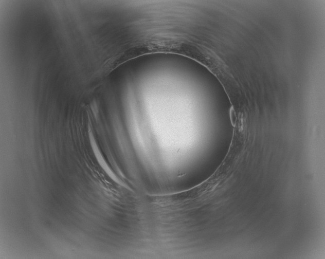 X0000073990915200609060953