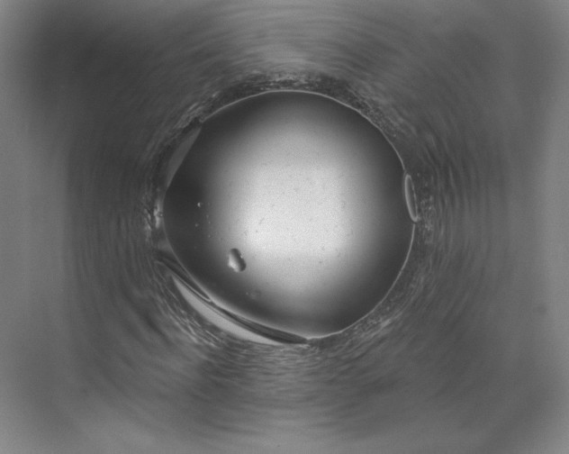 X0000073990916200609060953