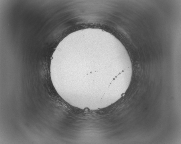 X0000073990918200609060954