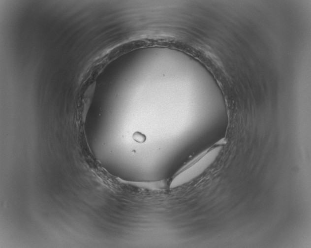 X0000073990920200609060954