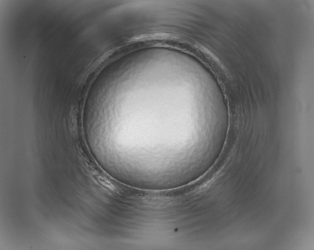 X0000073990921200609060954