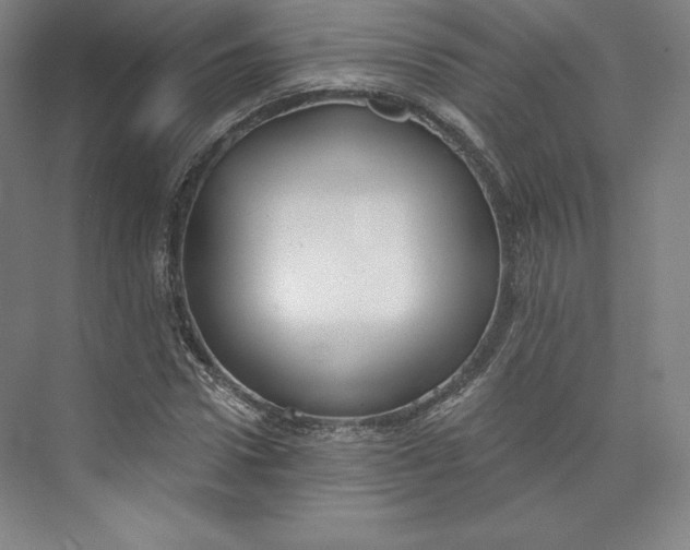 X0000073990922200609060954