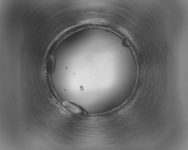 X0000073990923200609060954