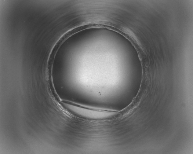 X0000073990924200609060954