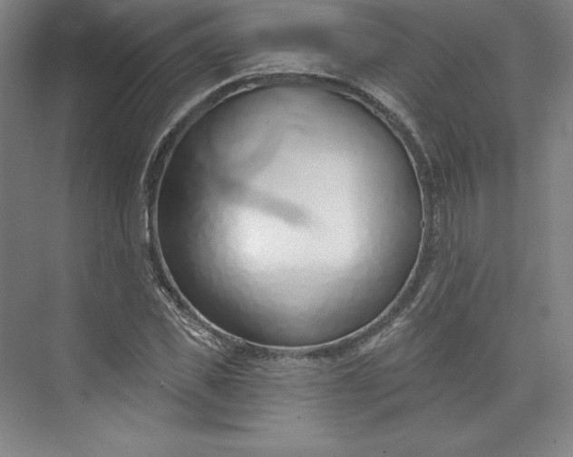 X0000073990925200609060954