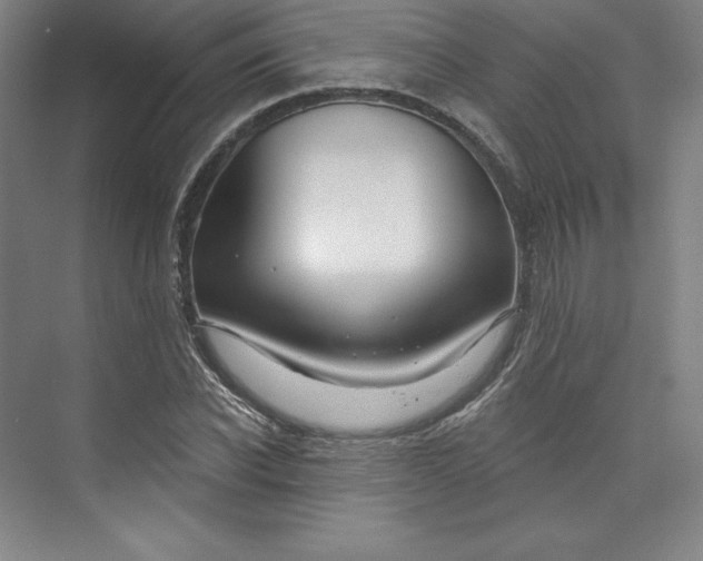 X0000073990926200609060954