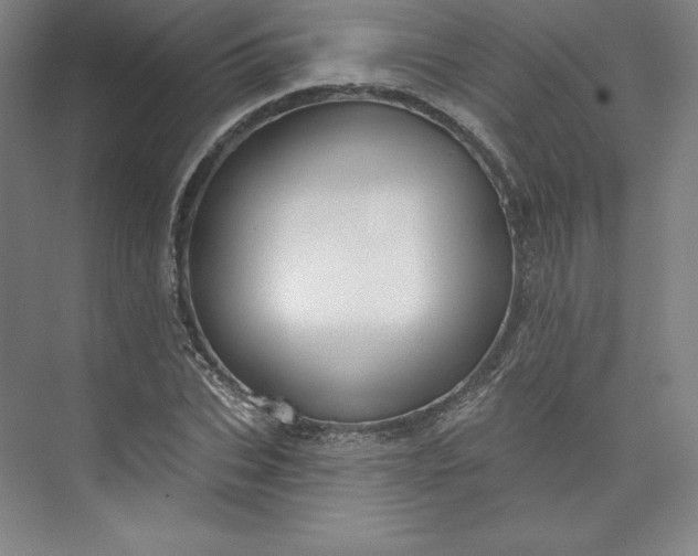 X0000073990927200609060954