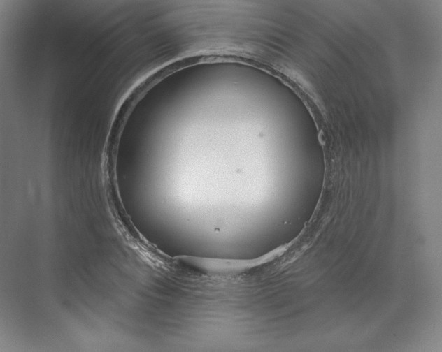 X0000073990928200609060954