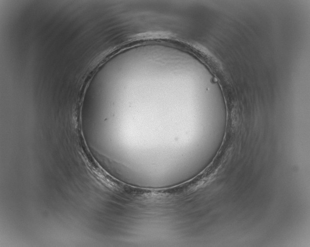 X0000073990929200609060954