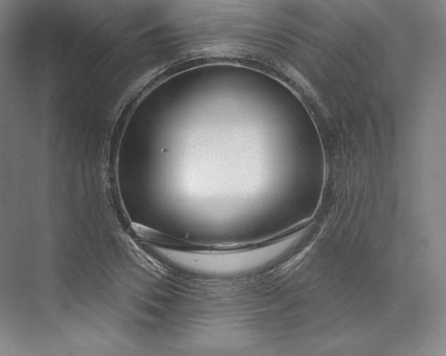 X0000073990930200609060954