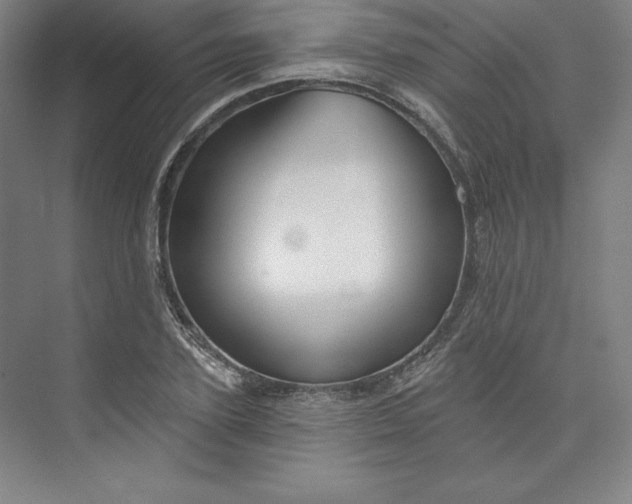 X0000073990931200609060954