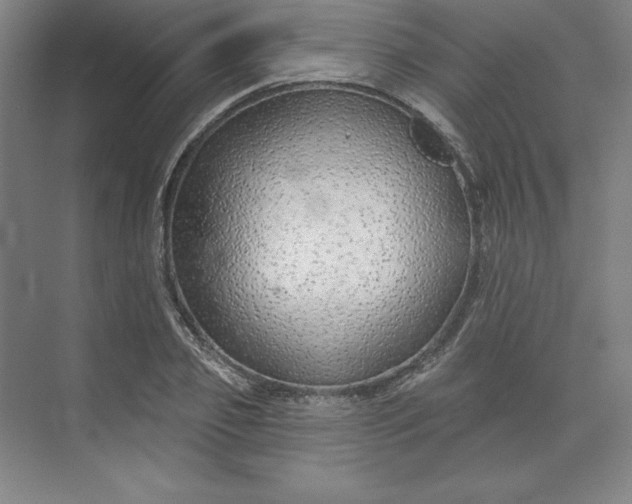 X0000073990933200609060954