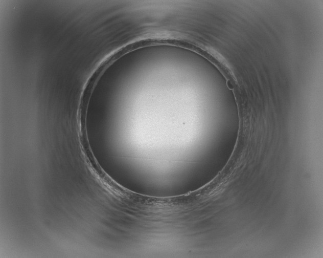 X0000073990935200609060954