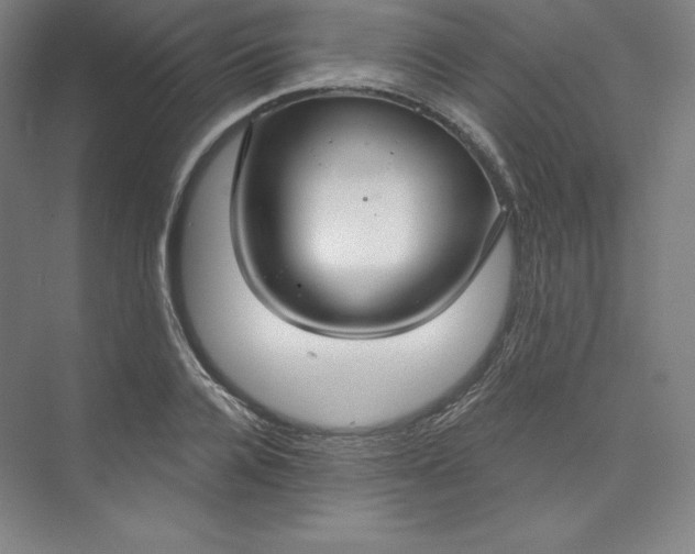 X0000073990936200609060954