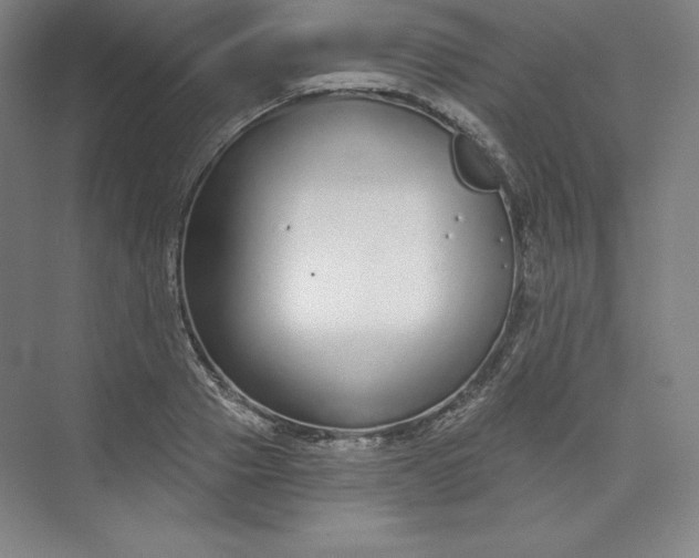 X0000073990937200609060954