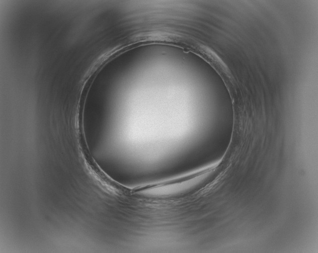 X0000073990938200609060954