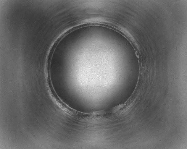 X0000073990939200609060954