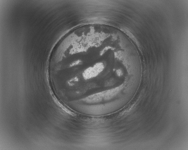 X0000073990941200609060954