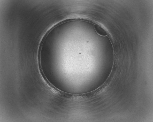 X0000073990943200609060954