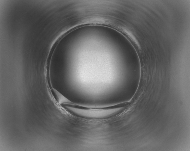 X0000073990944200609060954