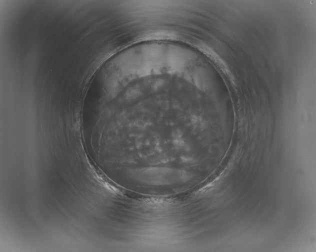 X0000073990945200609060954