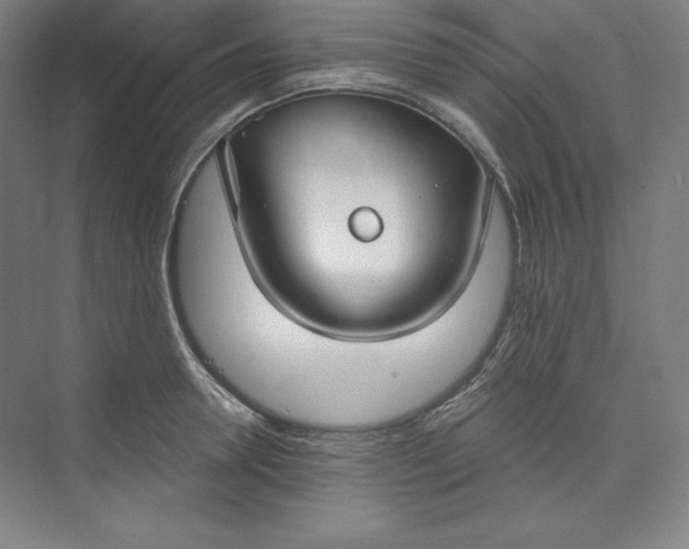 X0000073990946200609060954