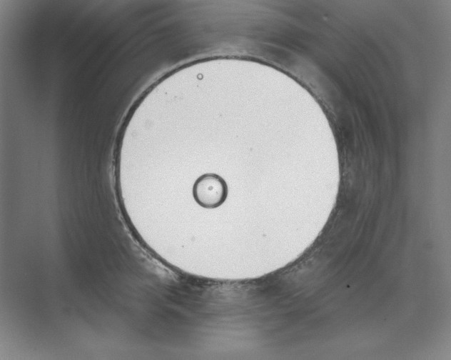 X0000073990950200609060954