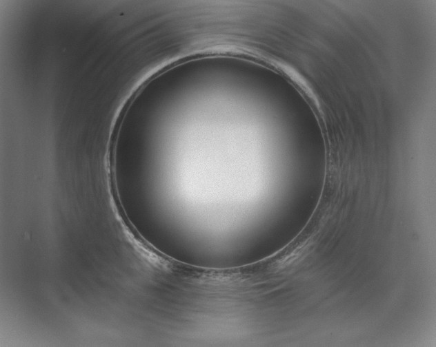 X0000073990951200609060954